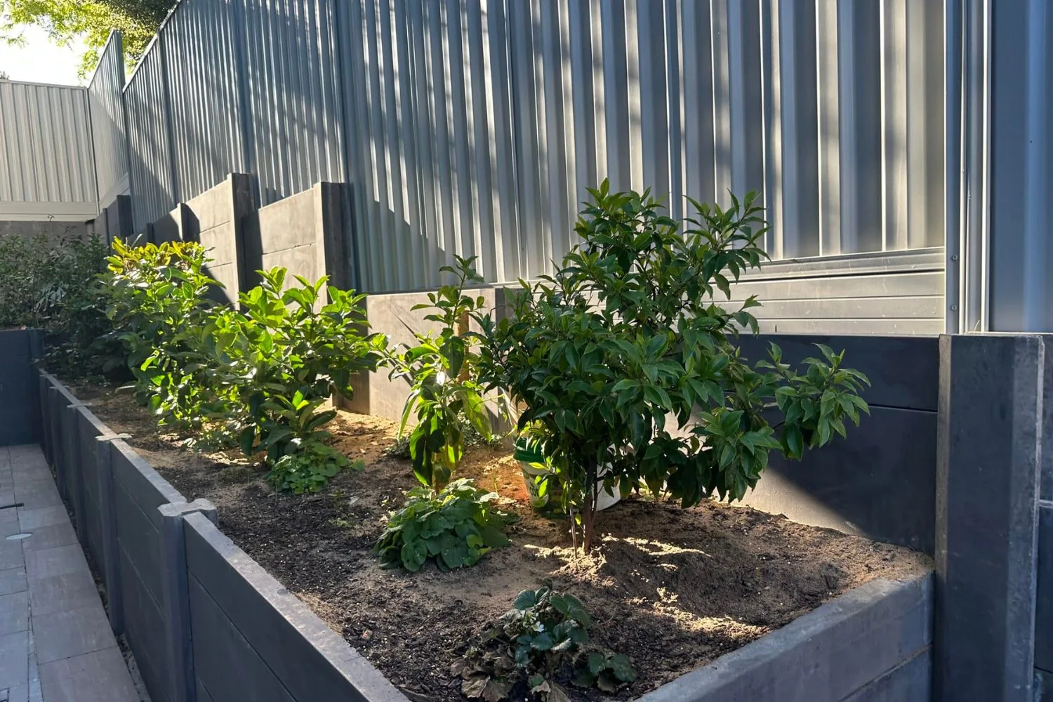 Concrete retaining wall holding back a sloped garden bed